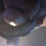 sexo a tope con mujeres de 30 a 60